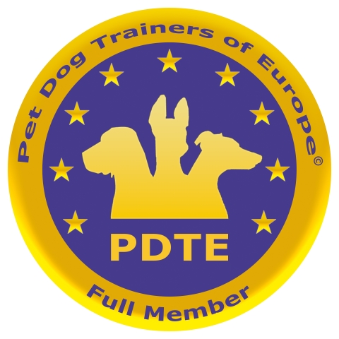 Logo PDTE